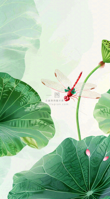 夏天荷花荷叶清凉小清新淡雅立夏夏至暑插画背景 夏天荷花荷叶清凉小清新淡雅立夏夏至暑插画背景