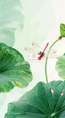 夏天荷花荷叶清凉小清新淡雅立夏夏至暑插画背景 夏天荷花荷叶清凉小清新淡雅立夏夏至暑插画背景