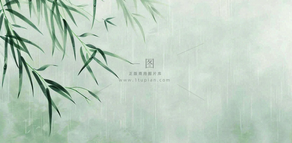 青色雨天竹叶竹子天青色烟雨雨水谷雨清明端午插画背景