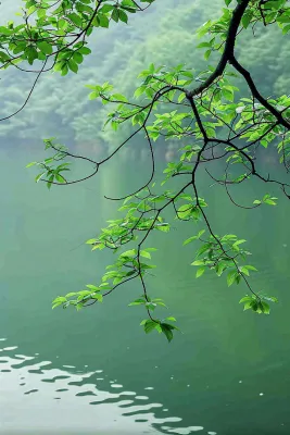 森林湖泊岸边的植物大树风景摄影图