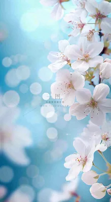 春天清新白色鲜花树枝,文艺新鲜浪漫摄影图 春天清新白色鲜花树枝,文艺新鲜浪漫摄影图