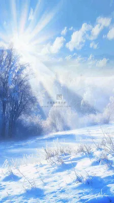 冬天东北森林白雪覆盖阳光小寒大寒大雪摄影图 冬天东北森林白雪覆盖阳光小寒大寒大雪摄影图