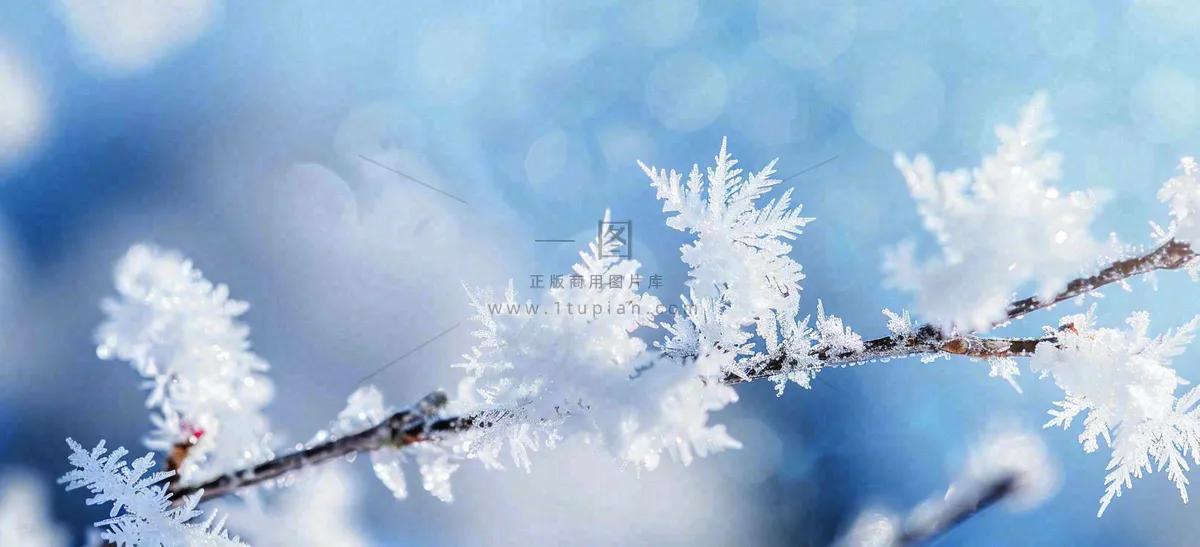 冰冻预警暴雪预警通知公告背景