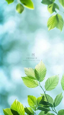 阳光明媚春天春意盎然嫩草，发芽，春分，立春摄影图