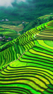 春天唯美绿色梯田种植,乡村小屋,谷雨摄影图 春天唯美绿色梯田种植,乡村小屋,谷雨摄影图