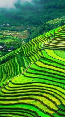 春天唯美绿色梯田种植,乡村小屋,谷雨摄影图 春天唯美绿色梯田种植,乡村小屋,谷雨摄影图