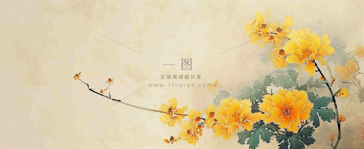 温馨纹理橙色花朵鲜花蝴蝶意境唯美，中国风