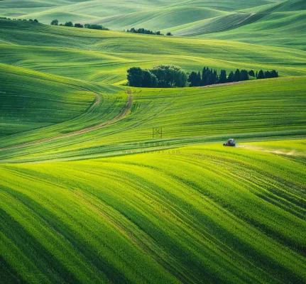 农田庄稼里耕种的机器农忙劳动节摄影图