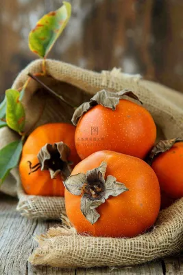 金黄成熟柿子水果秋天丰收秋分立秋摄影图