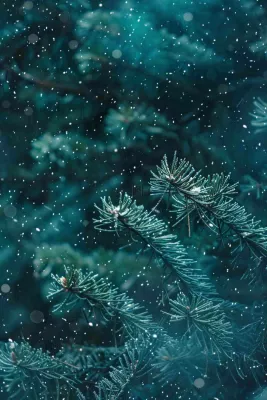 冬天森林里的松针树寒冷霜降摄影图