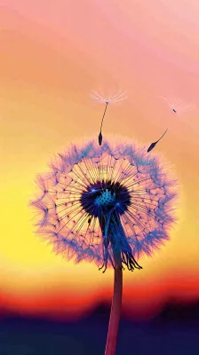 春天落日户外分散种子蒲公英夕阳晚霞摄影图