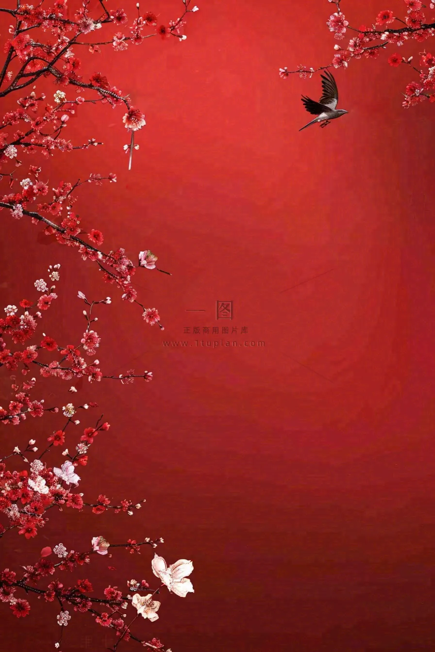 红色墙背景梅花红花鸟情人节七夕小年新年除夕背景