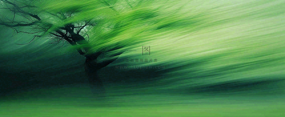 绿色植物树木绚丽虚幻背景