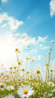 城市晴天阳光鲜花春天蓝天白云，立夏小满