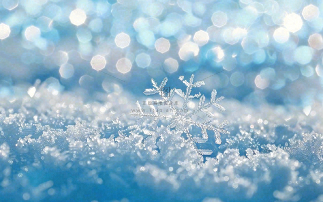 冬天雪花闪耀素材唯美立冬冬至小雪大雪摄影图
