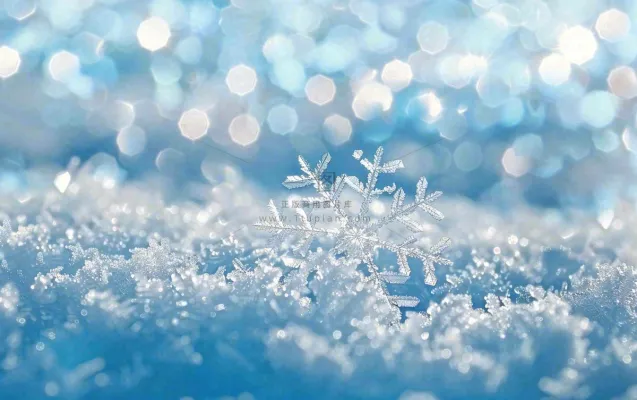 冬天雪花闪耀素材唯美立冬冬至小雪大雪摄影图