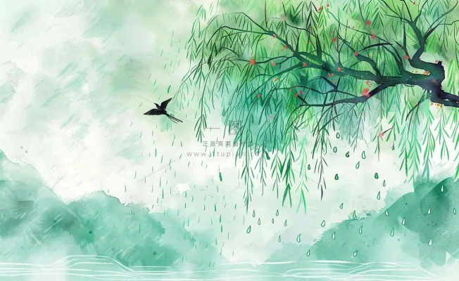 春天梅雨季柳树燕子清冷雨水谷雨惊蛰清明节水墨水彩插画背景