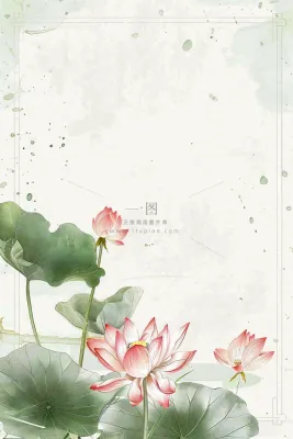 夏天荷花荷叶清凉小清新淡雅小暑大暑处暑插画背景 夏天荷花荷叶清凉小清新淡雅小暑大暑处暑插画背景