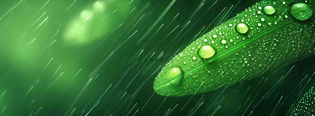 春天下雨天树叶草叶上的露珠水珠，谷雨雨水摄影图