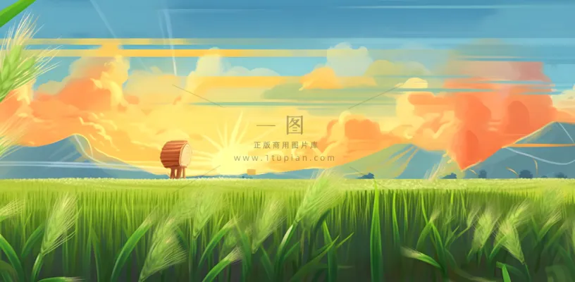 农田庄稼小麦玉米地夕阳晚霞绿色背景