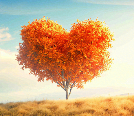 秋天爱心树木橙红色落叶蓝天温馨