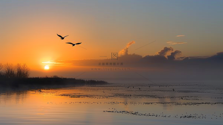 海上日出朝霞云层摄影图