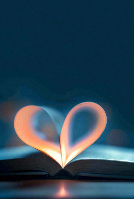 翻开的书本爱心形知识阅读教师节摄影图