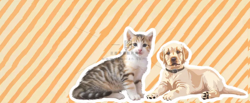 宠物寄养猫狗卡通插画背景
