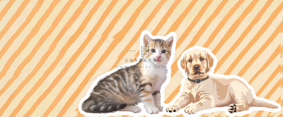 宠物寄养猫狗卡通插画背景 宠物寄养猫狗卡通插画背景