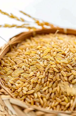 粮食稻谷米饭珍惜粮食丰收世界粮食日摄影图