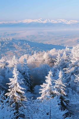 冬季森林雾凇山川摄影图