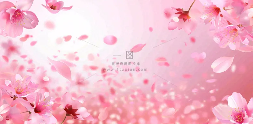 粉色樱花花瓣唯美妇女节春天摄影图