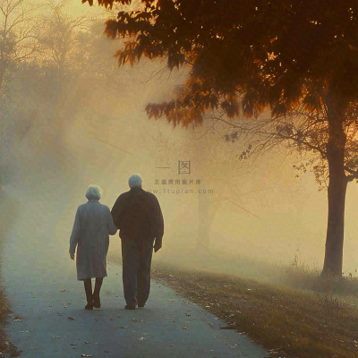 父母年长老人重阳节温馨落日背影