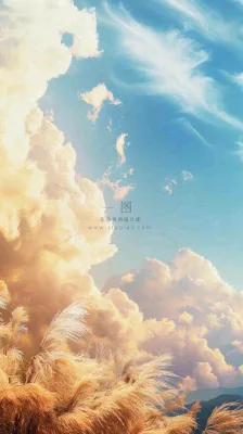 秋天蓝天户外芦苇草，立秋秋分摄影图