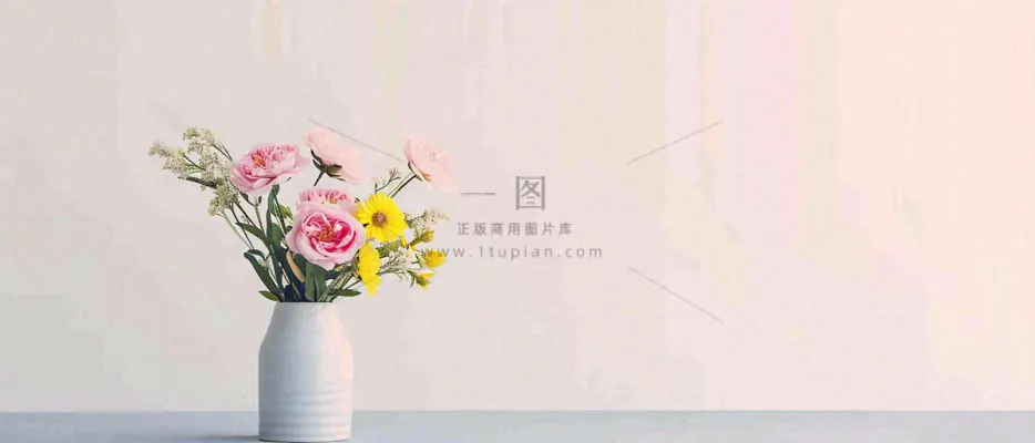 简约的墙面前有一瓶鲜花花束绿植,鲜艳清新新鲜室内装饰摄影图 简约的墙面前有一瓶鲜花花束绿植,鲜艳清新新鲜室内装饰摄影图