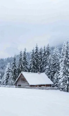 冬天寒冷白雪结冰小寒摄影图 冬天寒冷白雪结冰小寒摄影图