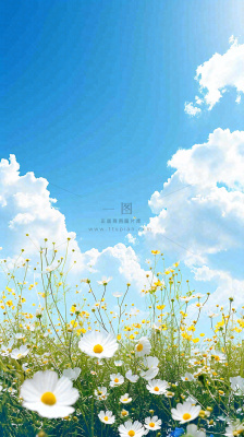 城市晴天阳光鲜花春天蓝天白云，立夏小满