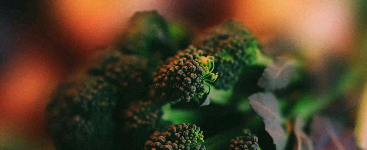 蔬菜西兰花西红柿番茄摄影摄影图