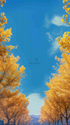 秋天蓝天白云下唯美公路旁的黄叶树木,秋分处暑摄影图 秋天蓝天白云下唯美公路旁的黄叶树木,秋分处暑摄影图