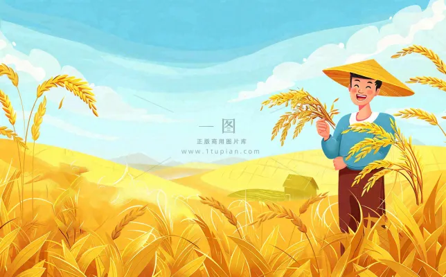 秋天农田里收谷的农民辛勤劳作芒种世界粮食日插画背景 秋天农田里收谷的农民辛勤劳作芒种世界粮食日插画背景