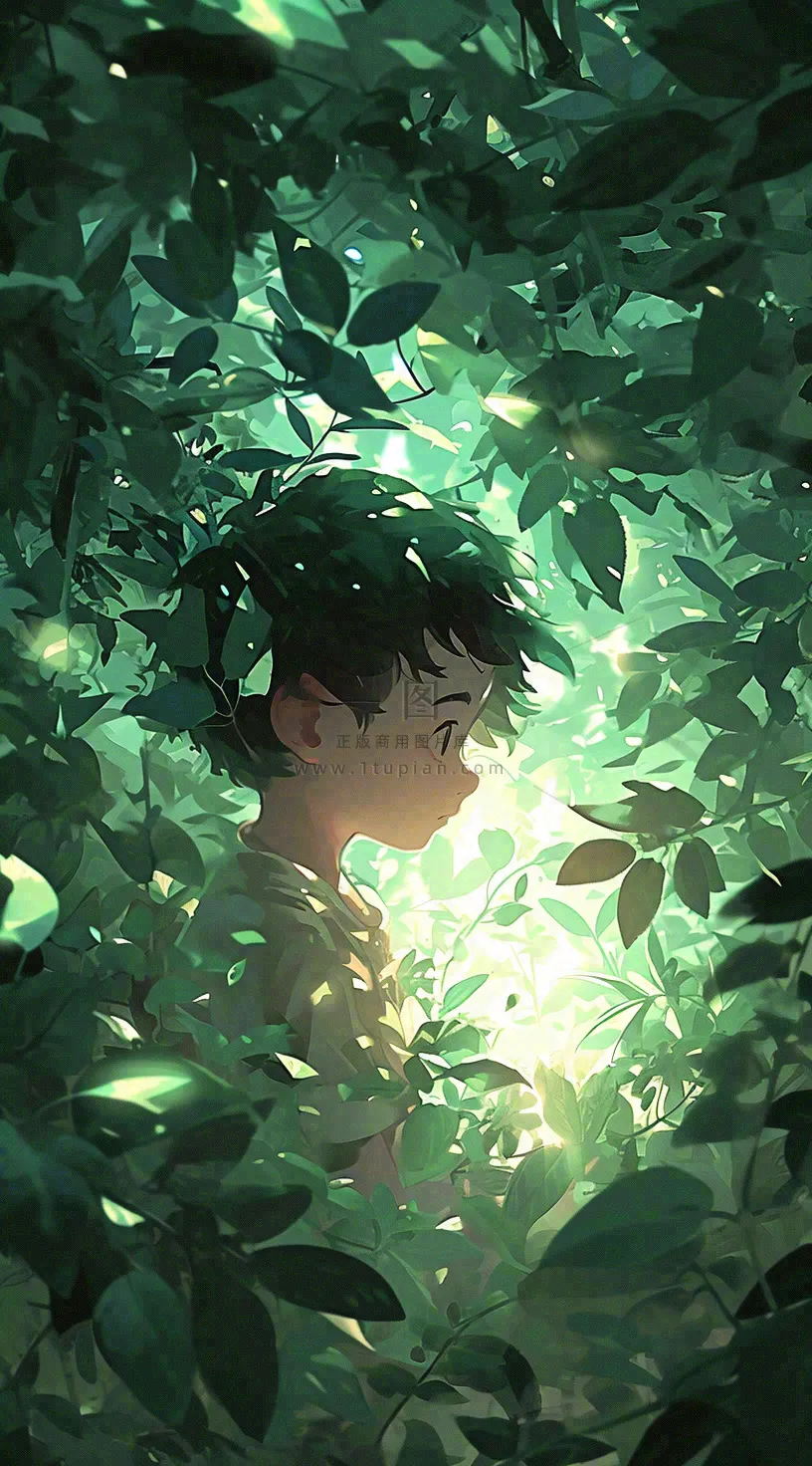 森林探险阳光绿叶男孩儿童，玩耍光照，插画手绘