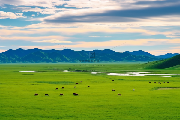 草原白云蓝天一望无际大自然风景摄影图