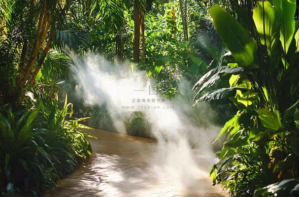 热带植物园绿植摄影图 热带植物园绿植摄影图