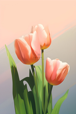 唯美淡雅清新郁金香背景 唯美淡雅清新郁金香背景