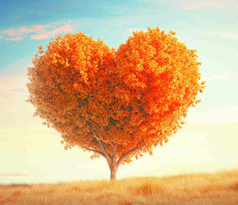 秋天爱心树木橙红色落叶蓝天温馨
