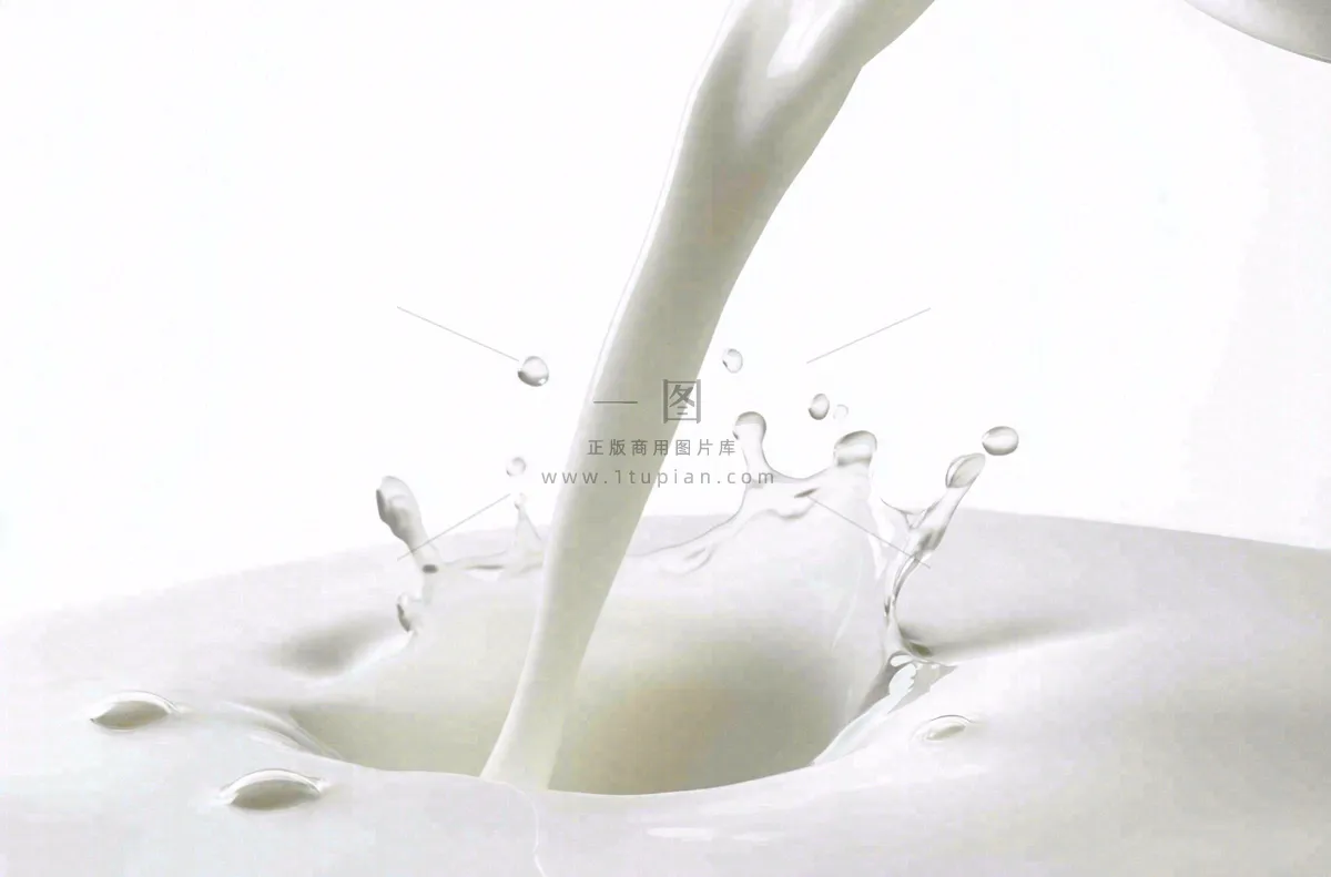 白色的牛奶飞溅摄影图