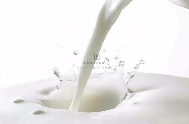 白色的牛奶飞溅摄影图