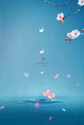 春天梅雨时节雨滴飘落在梅花滴落在水面上泛起涟漪雨水谷雨寒露摄影图