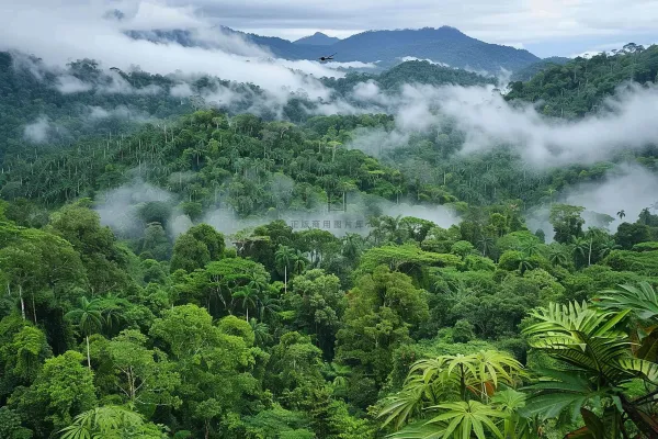 山林森林阳光绿色大自然风景摄影图 山林森林阳光绿色大自然风景摄影图