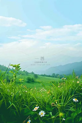 春天野外绿草繁花阳光明媚立春，春分，野外郊游，踏青，春游